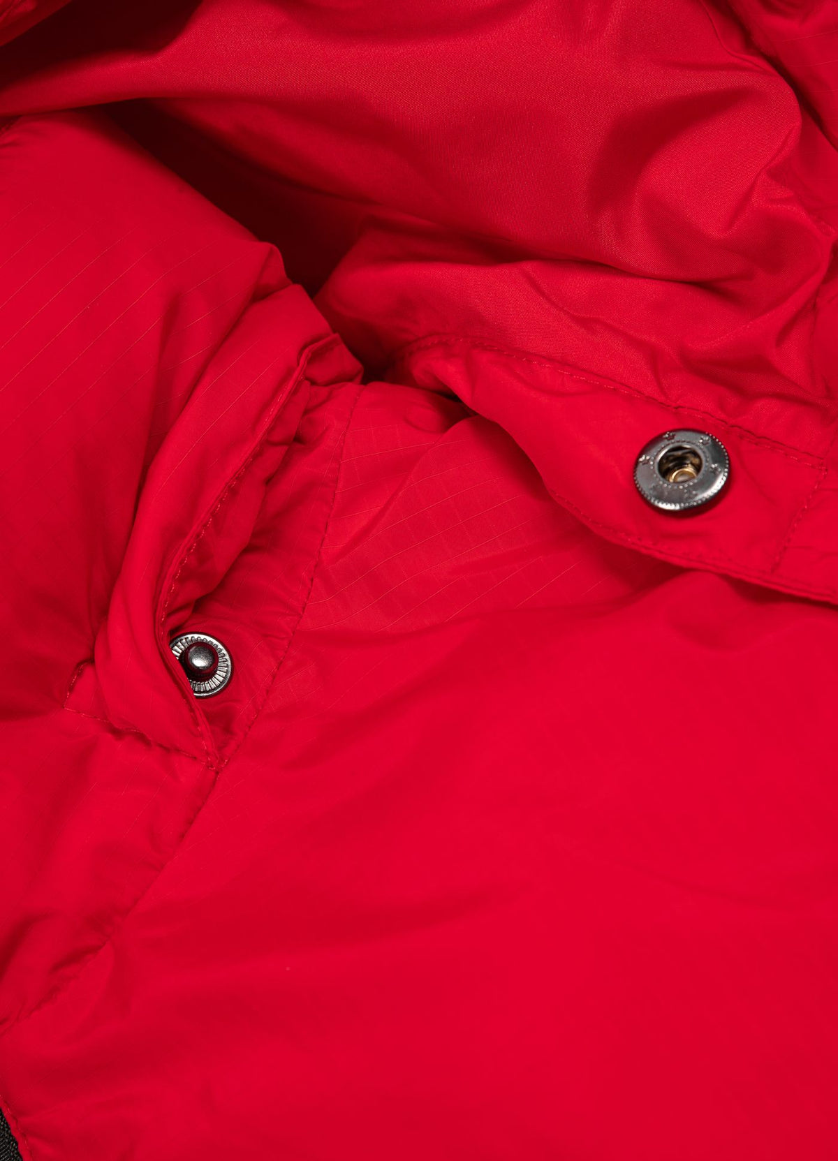 Women's winter hooded jacket Cleo